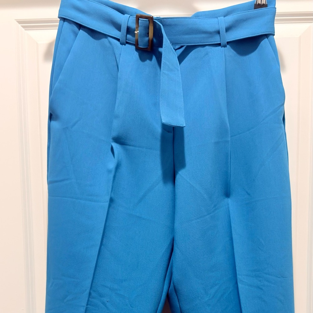 Ann Taylor Bright Blue Dress Pants